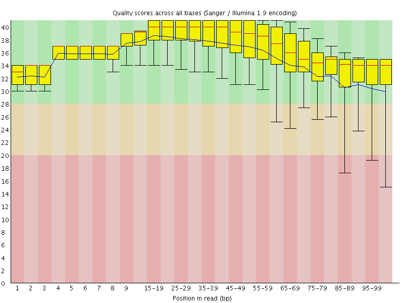 Per base quality graph