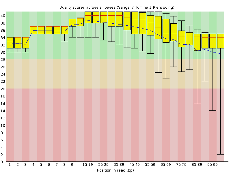 Per base quality graph