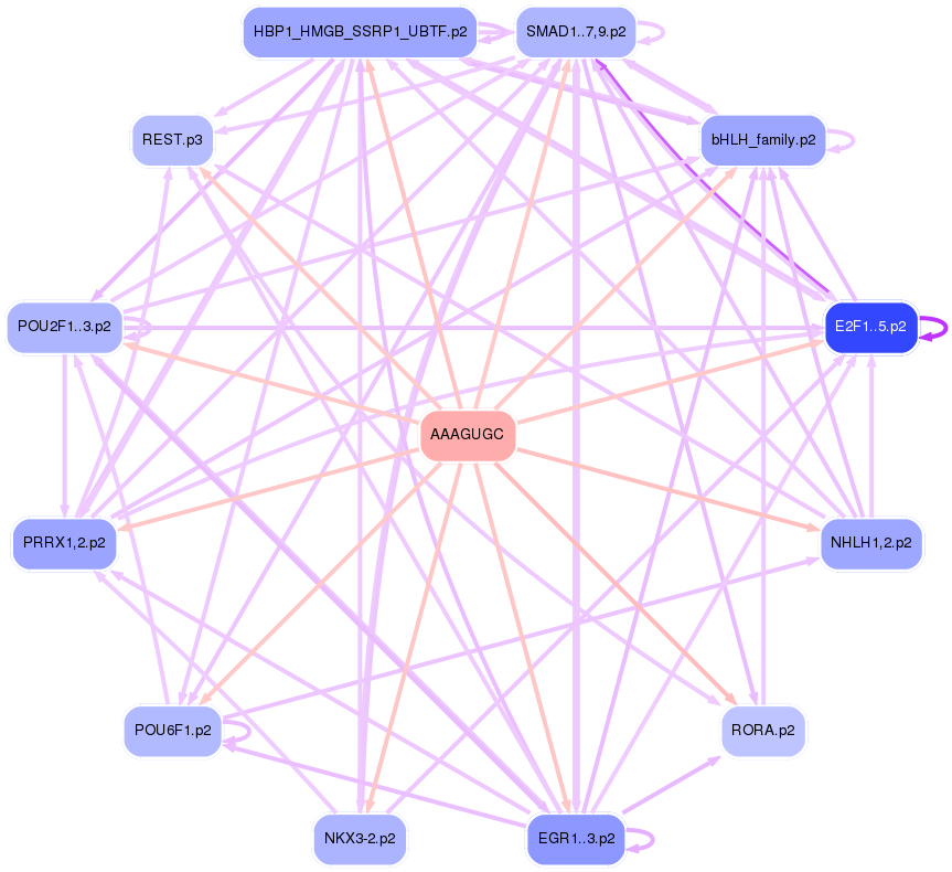 PNG image of the network