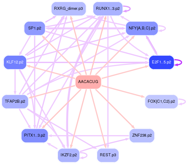 PNG image of the network