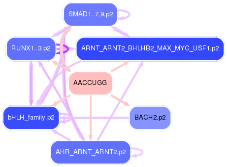 PNG image of the network