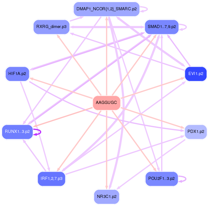 PNG image of the network