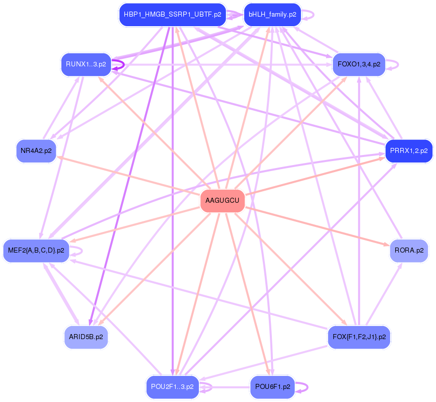 PNG image of the network
