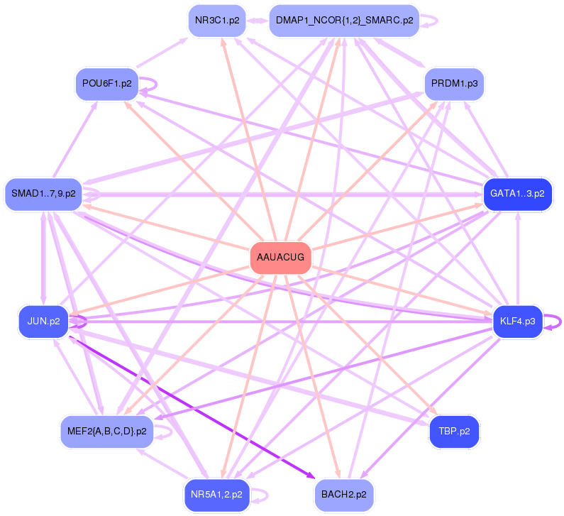 PNG image of the network