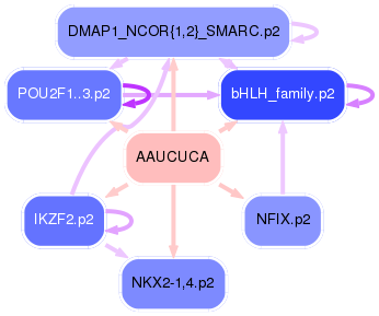 PNG image of the network