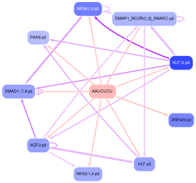 PNG image of the network