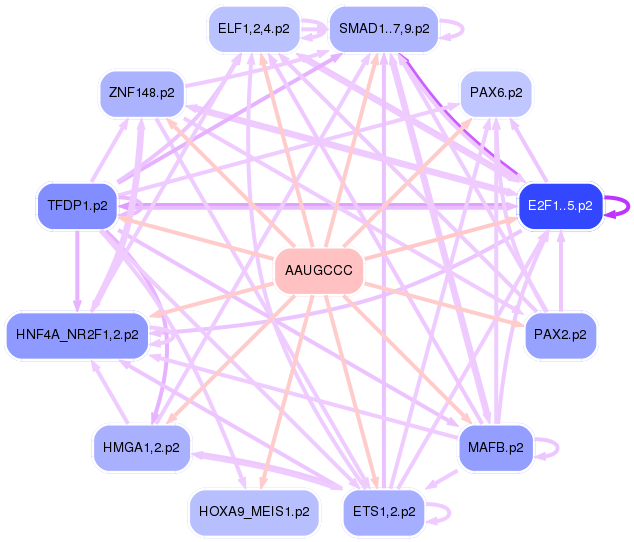 PNG image of the network