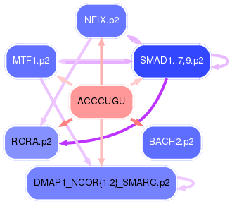 PNG image of the network