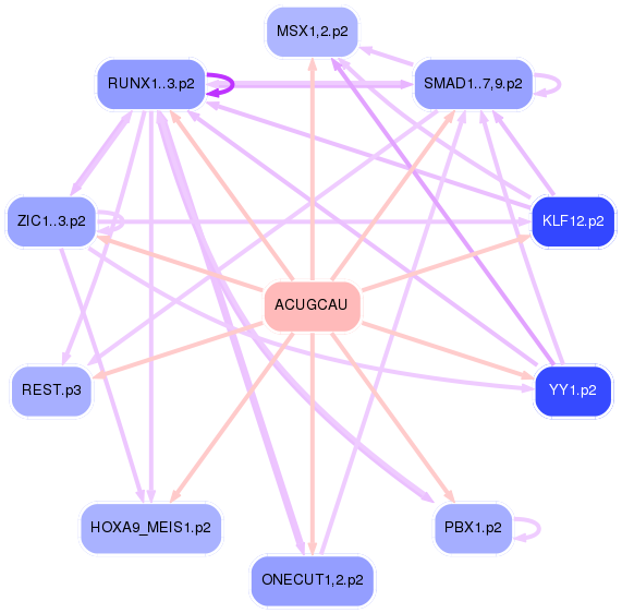 PNG image of the network