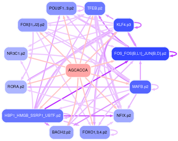 PNG image of the network