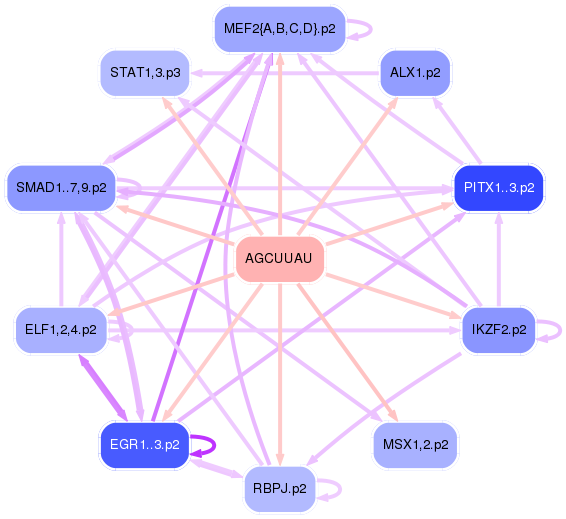 PNG image of the network