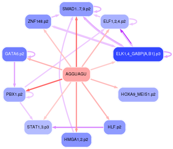 PNG image of the network