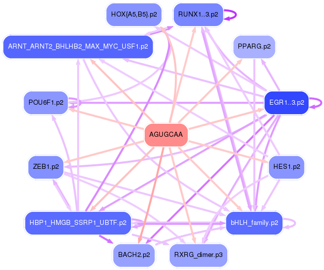 PNG image of the network
