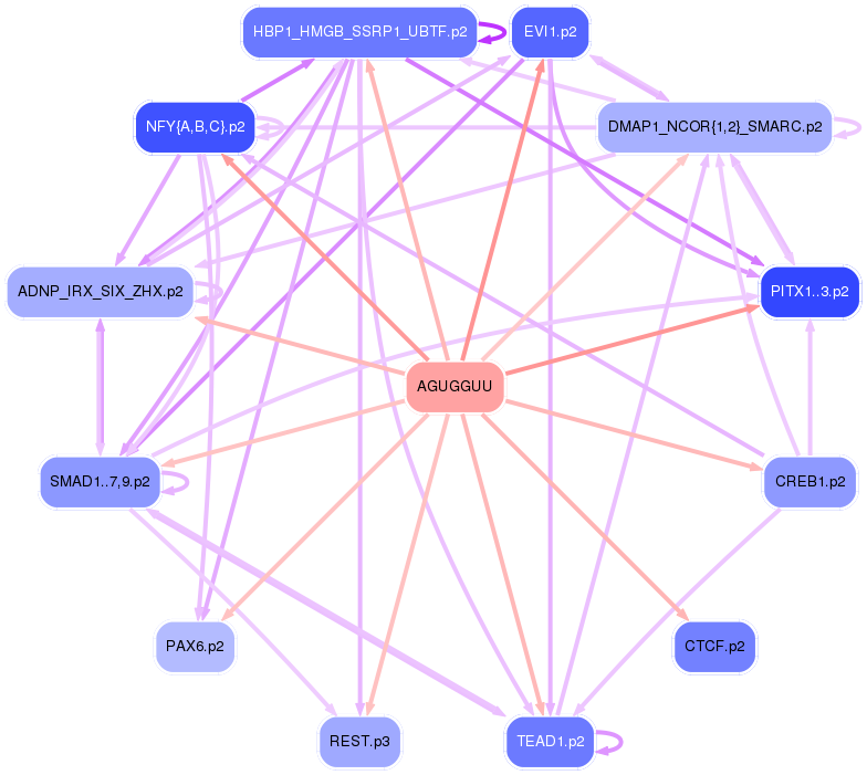 PNG image of the network