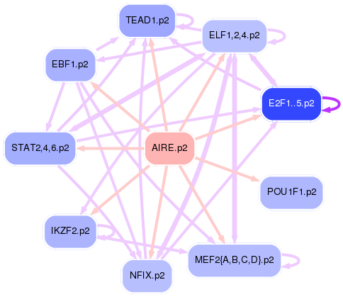 PNG image of the network