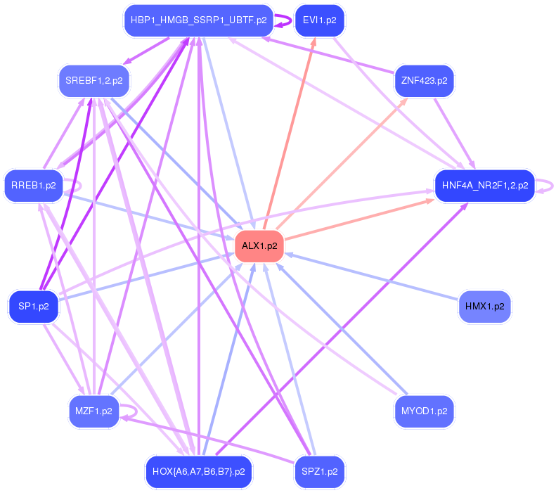 PNG image of the network