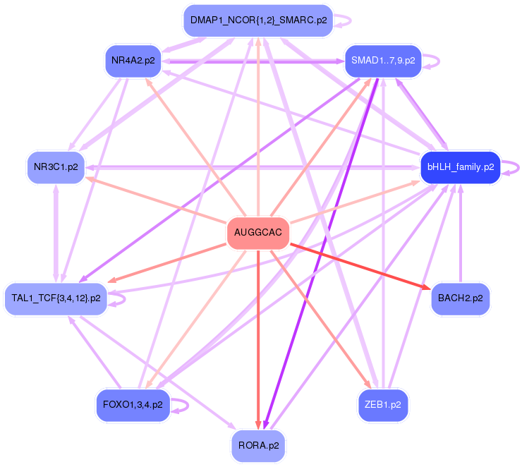 PNG image of the network