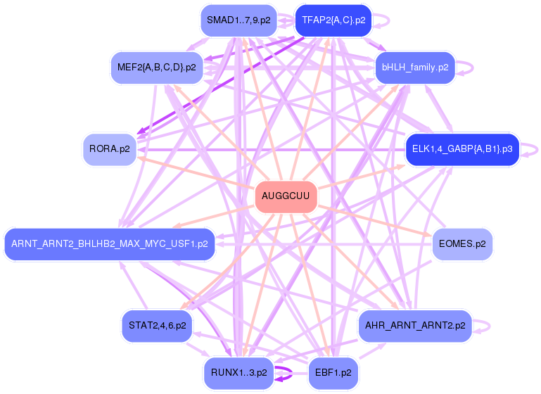 PNG image of the network