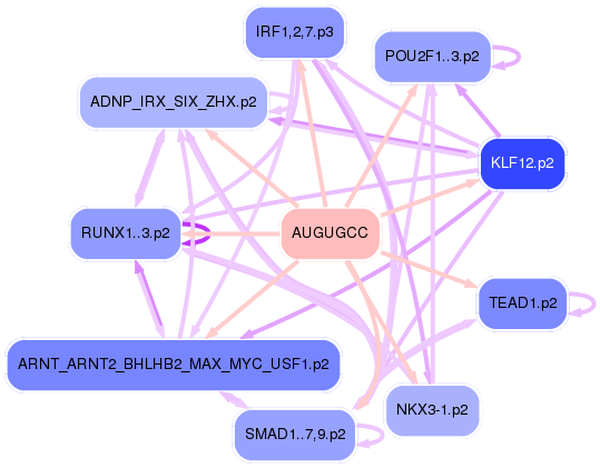 PNG image of the network