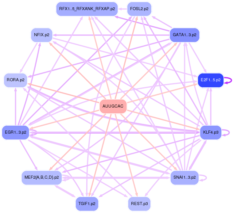 PNG image of the network