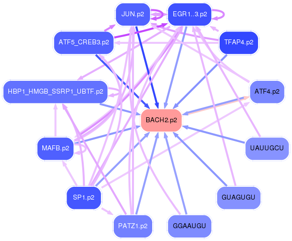 PNG image of the network