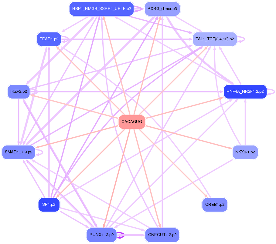 PNG image of the network