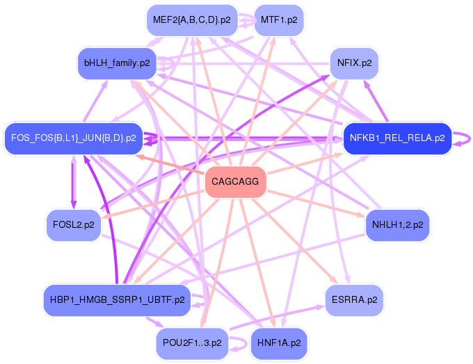 PNG image of the network