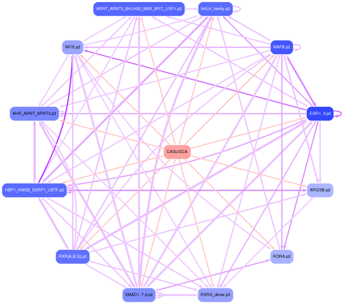 PNG image of the network