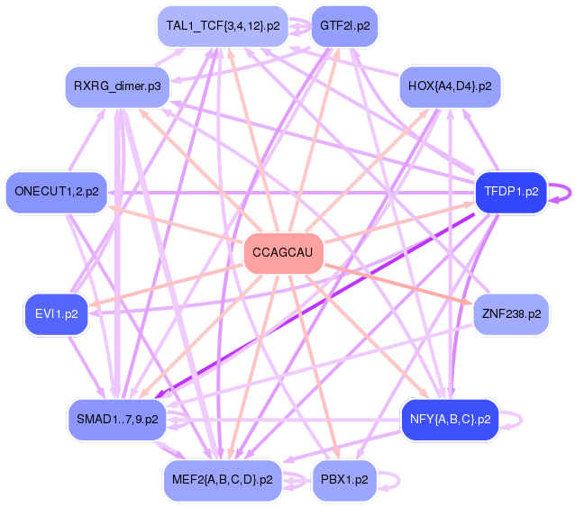 PNG image of the network