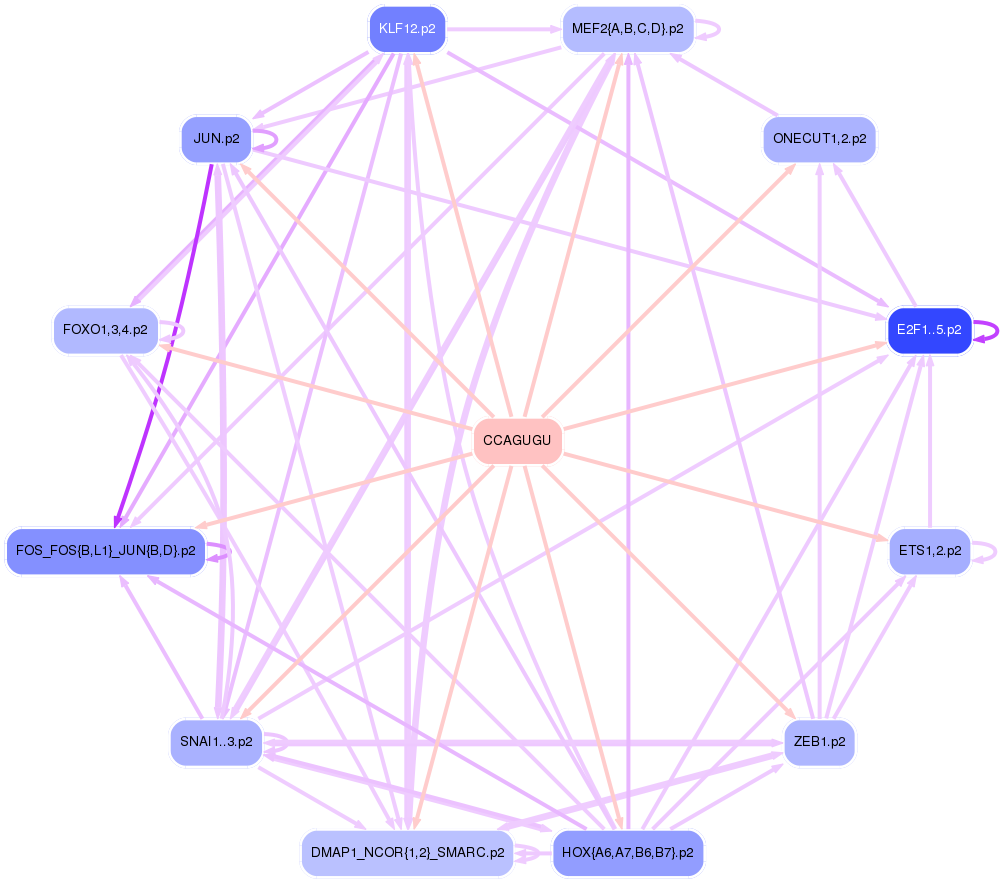 PNG image of the network