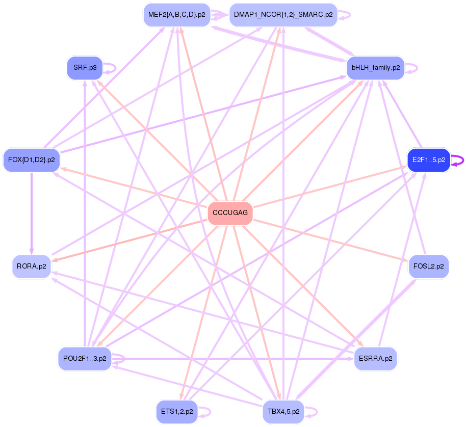 PNG image of the network