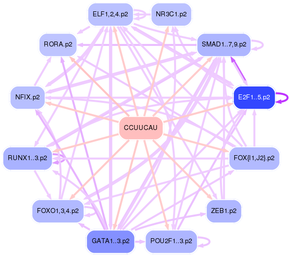 PNG image of the network