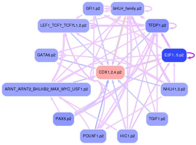PNG image of the network