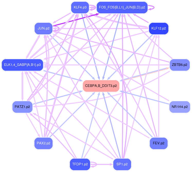 PNG image of the network