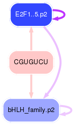 PNG image of the network