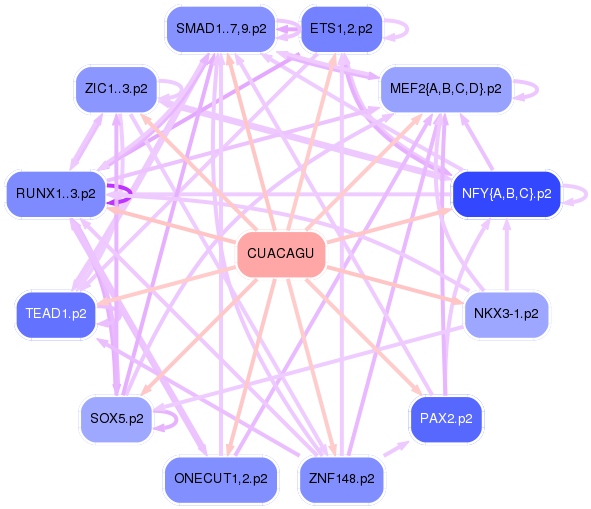 PNG image of the network