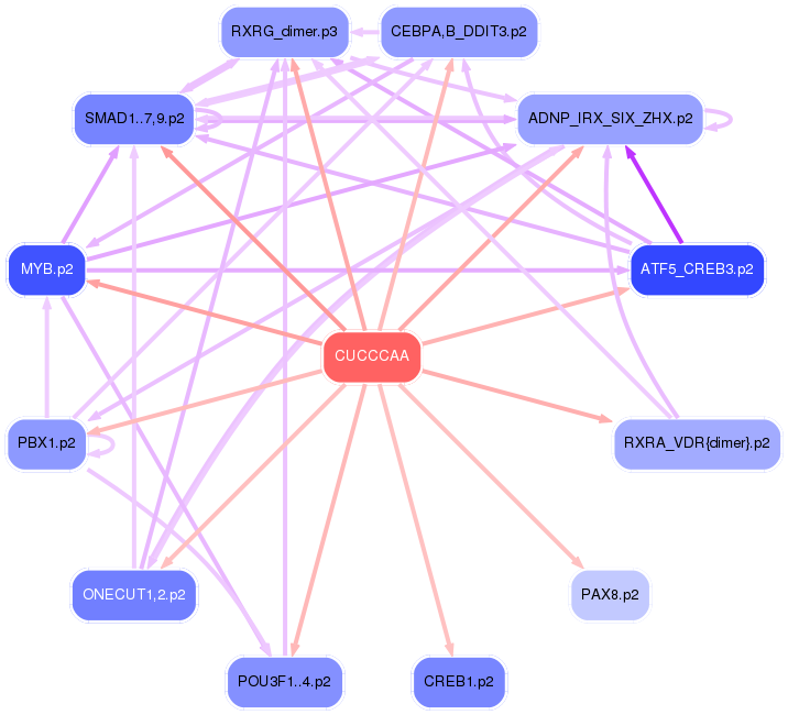 PNG image of the network