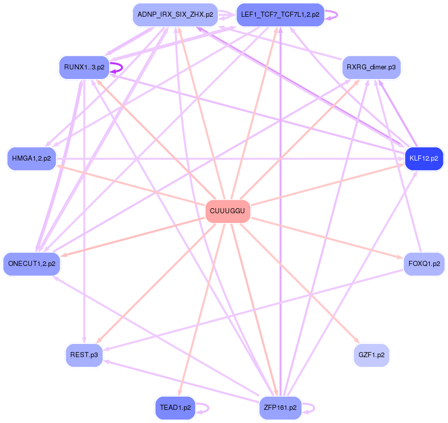 PNG image of the network
