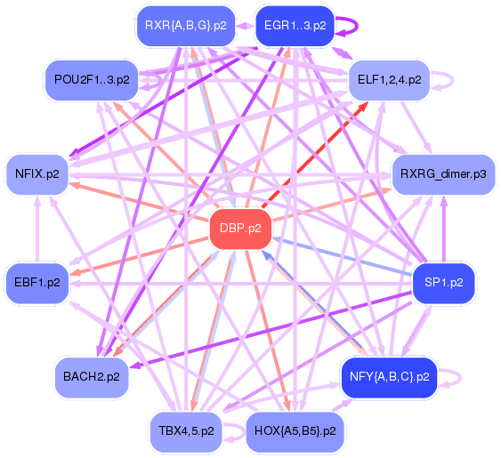 PNG image of the network