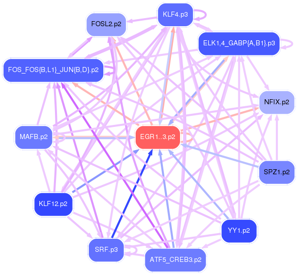 PNG image of the network