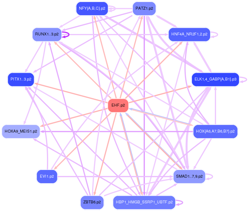 PNG image of the network