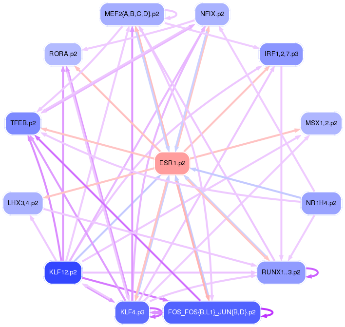 PNG image of the network