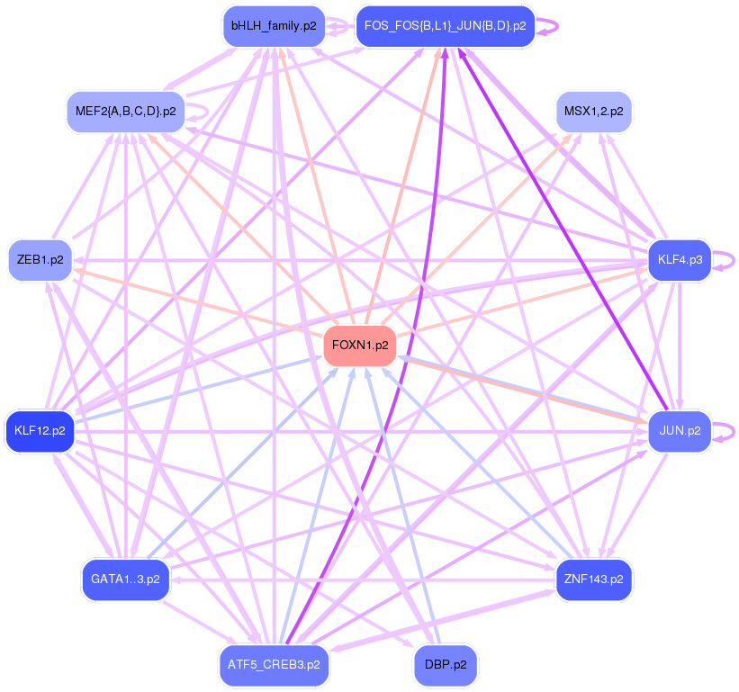 PNG image of the network