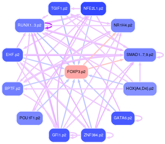 PNG image of the network