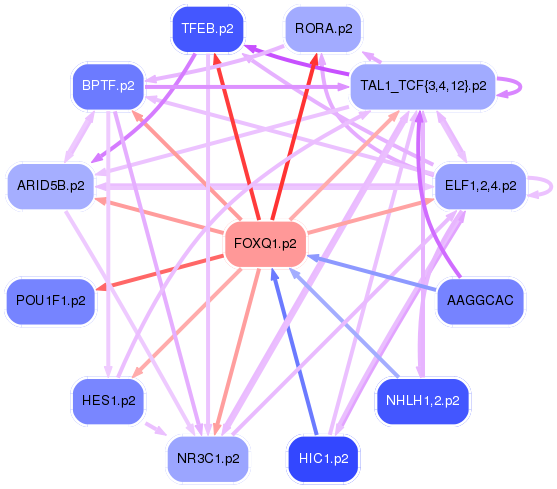 PNG image of the network