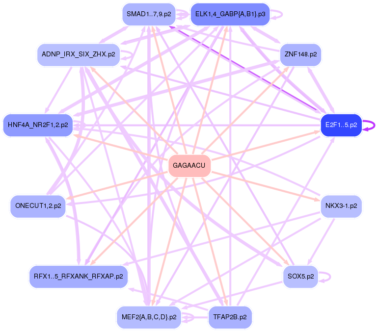 PNG image of the network