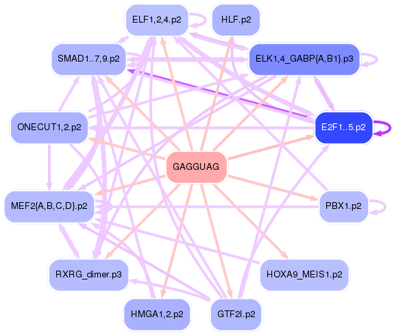 PNG image of the network