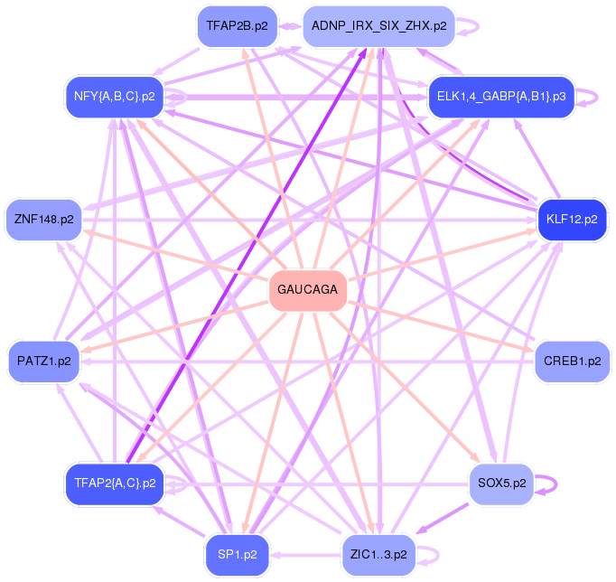 PNG image of the network