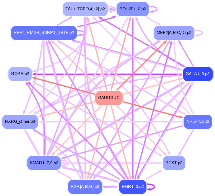 PNG image of the network