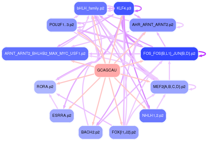 PNG image of the network